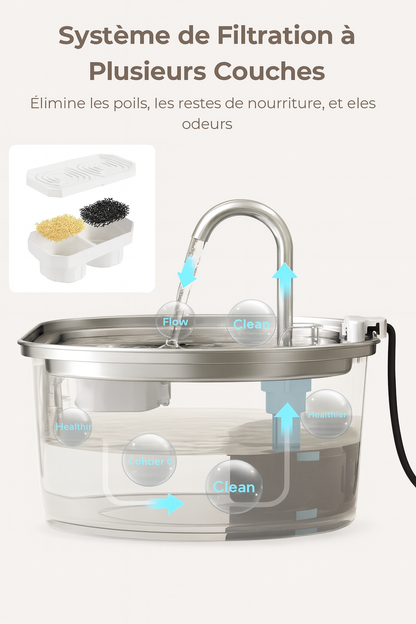 Protégez votre chat de la déshydratation et des urgences urinaires