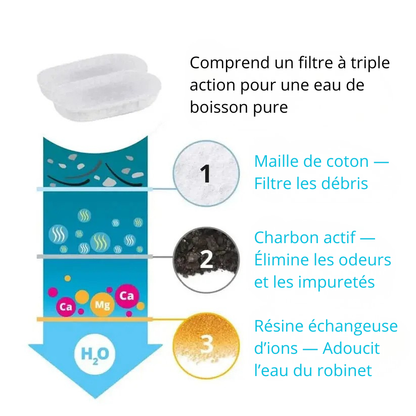 Protégez votre chat de la déshydratation et des urgences urinaires