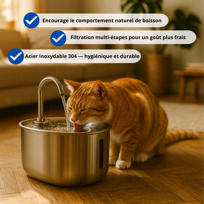 Protégez votre chat de la déshydratation et des urgences urinaires