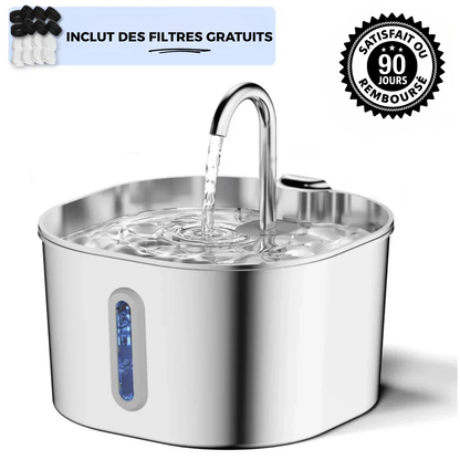 Protégez votre chat de la déshydratation et des urgences urinaires