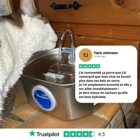 Protégez votre chat de la déshydratation et des urgences urinaires