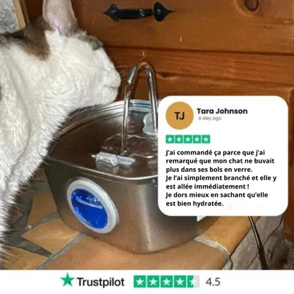 Protégez votre chat de la déshydratation et des urgences urinaires