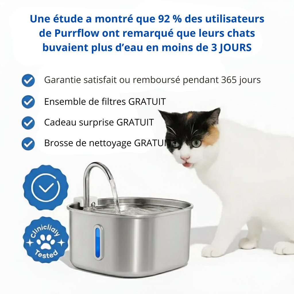 Protégez votre chat de la déshydratation et des urgences urinaires