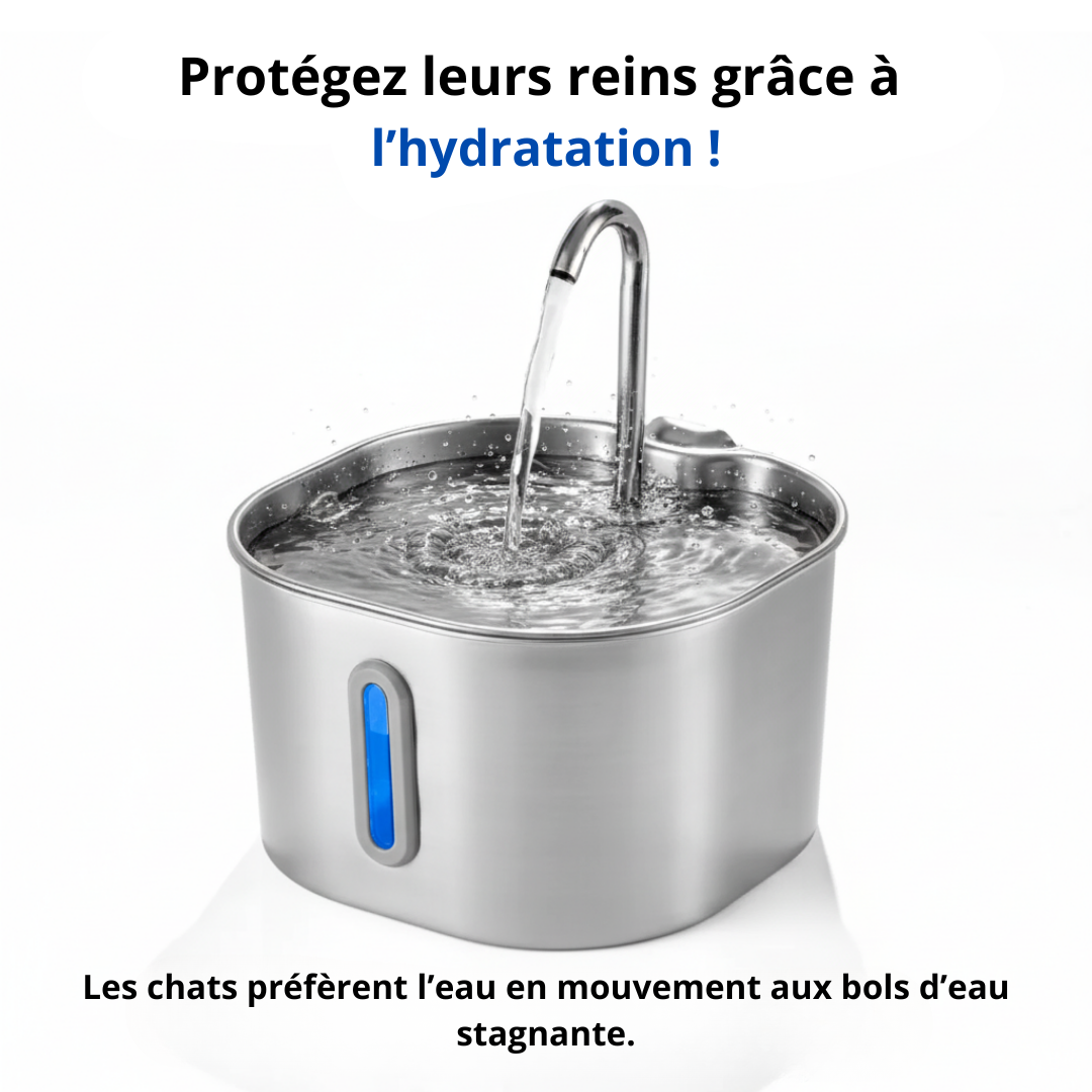 Protégez votre chat de la déshydratation et des urgences urinaires