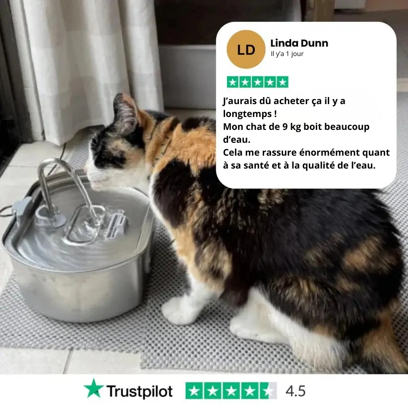 Protégez votre chat de la déshydratation et des urgences urinaires